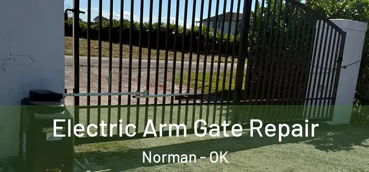 Electric Arm Gate Repair Norman - OK