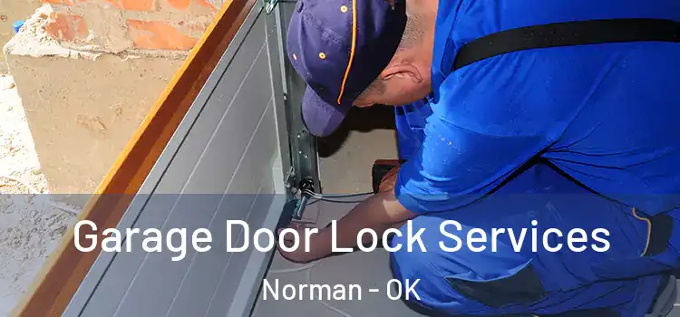 Garage Door Lock Services Norman - OK