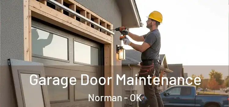 Garage Door Maintenance Norman - OK