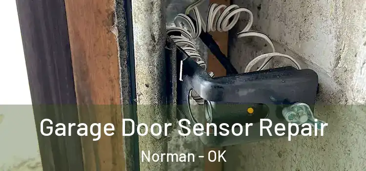 Garage Door Sensor Repair Norman - OK