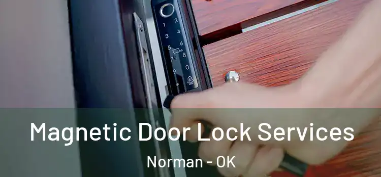 Magnetic Door Lock Services Norman - OK