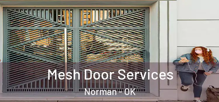 Mesh Door Services Norman - OK